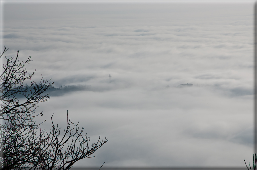 foto Colline Marosticane nella Nebbia